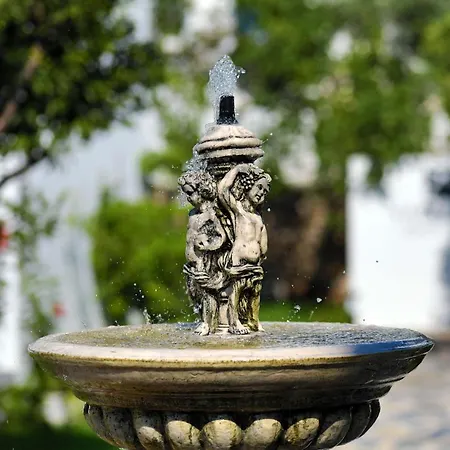 Anemon Kent 4* Trabzon