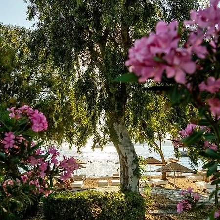 Hotel Anemon Kent Trabzon