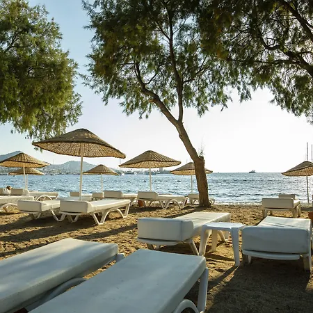 Hotel Anemon Kent 4*