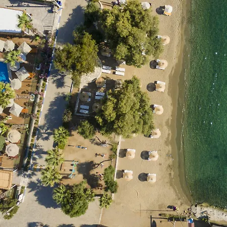 Hotel Anemon Kent Trebizonda