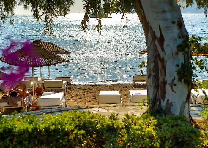 Anemon Kent Hotel Trabzon