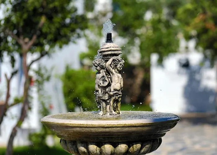 Anemon Kent 4* Trabzon