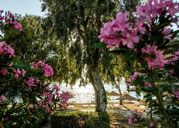 Hotel Anemon Kent Trebizonda