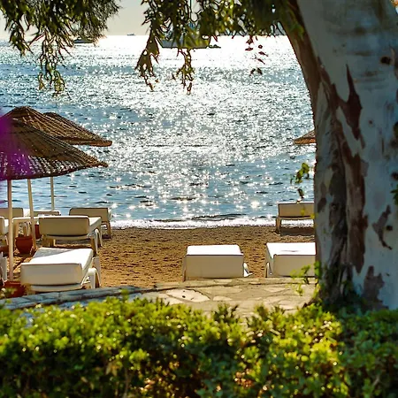 Anemon Kent Ξενοδοχείο Τραμπζόν