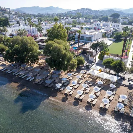 Ξενοδοχείο Anemon Kent Trabzon 4*