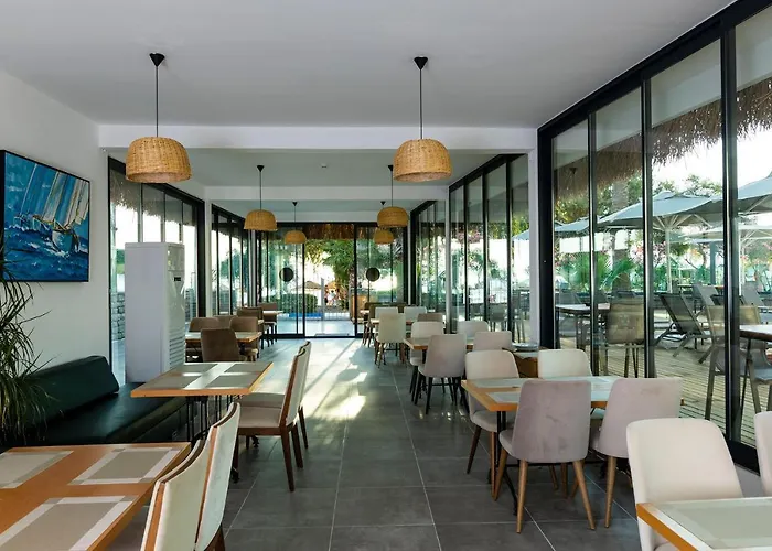 Anemon Kent Трабзон