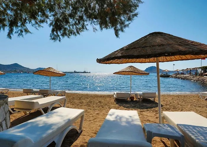 Anemon Kent Отель 4*