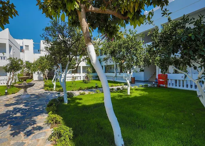 Hotell Anemon Kent Trabzon