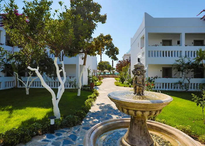 Anemon Kent Трабзон