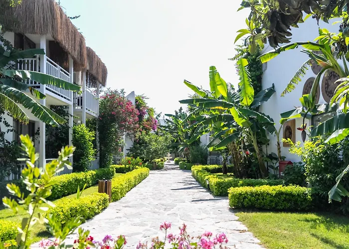 Hotell Anemon Kent 4*