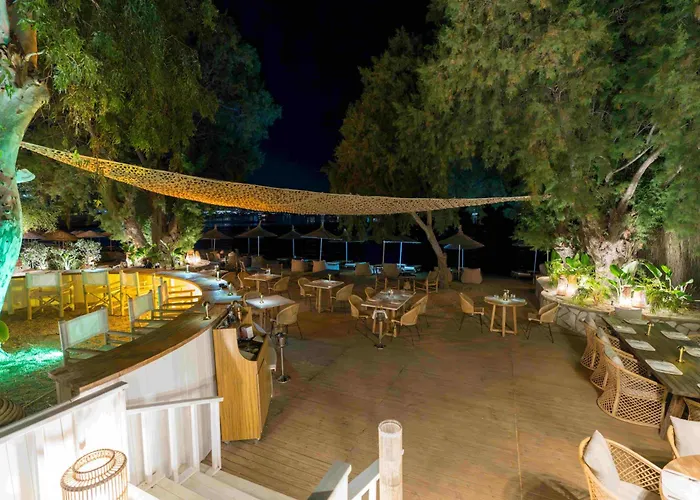 Hotell Anemon Kent Trabzon