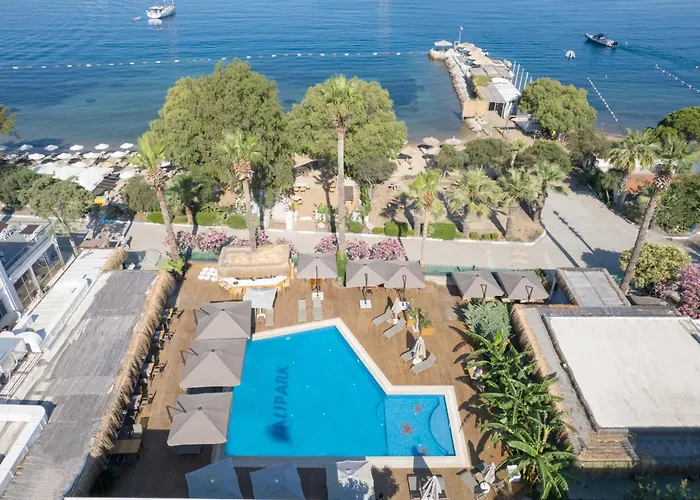 Anemon Kent 4* Трабзон