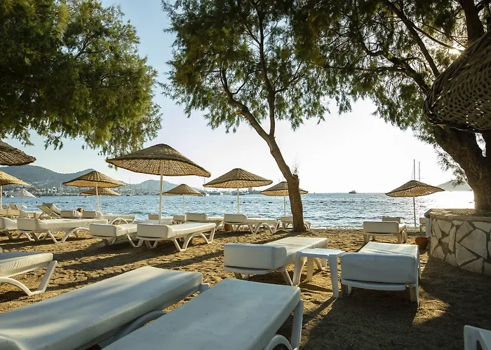 Hotell Anemon Kent 4*