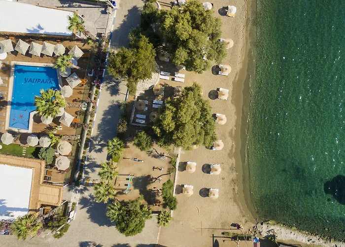 Отель Anemon Kent Трабзон