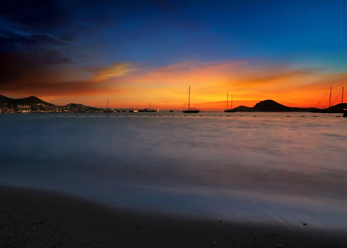 Anemon Kent Трабзон